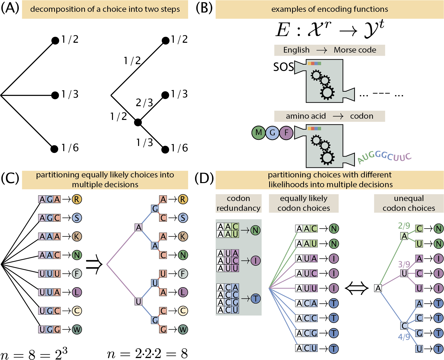 Figure 9: Shannon’s theorem. (A) One of the properties of a reasonable metric for uncertainty is that we can partition choices into multiple steps, and the resulting uncertainty should remain the same. (B) Example of coding functions E. The English alphabet can be converted into Morse code. Amino acids can be encoded in codons. (C) Partitioning of 2^3 equally likely choices into three decision steps, each with two choices. Eight different amino acids can be selected using two schemes: 1) each of the eight codons is chosen at random with equally likely chances, or 2) the codon is built by choosing one basepair at the time. (D) Partitioning of unequal choices. Given the redundancy of the genetic code, for equally likely codons, the resulting amino acid has different probabilities being chosen.