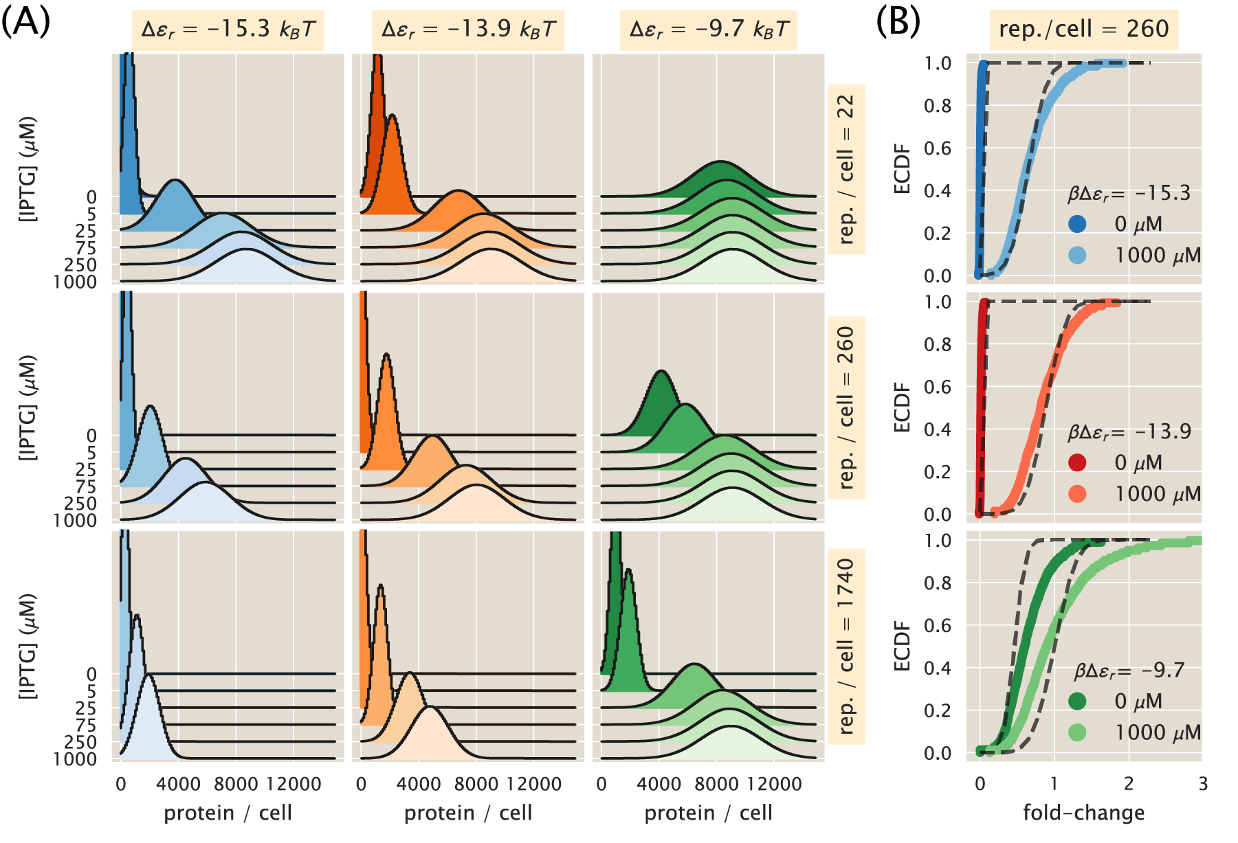 Figure 4: Maximum entropy protein distributions for varying physical parameters. (A) Predicted protein distributions under different inducer (IPTG) concentrations for different combinations of repressor-DNA affinities (columns) and repressor copy numbers (rows). The first six moments of the protein distribution used to constrain the maximum entropy approximation were computed by integrating as cells progressed through the cell cycle. (B) Theory-experiment comparison of predicted fold-change empirical cumulative distribution functions (ECDF). Each panel shows two example concentrations of inducer (colored curves) with their corresponding theoretical predictions (dashed lines). Distributions were normalized to the mean expression value of the unregulated strain to compare theoretical predictions in discrete protein counts with experimental fluorescent measurements in arbitrary units. The Python code used to generate part (A) (ch3_fig04A.py) and part (B) (ch3_fig04B.py) of this figure can be found on the original paper’s GitHub repository.