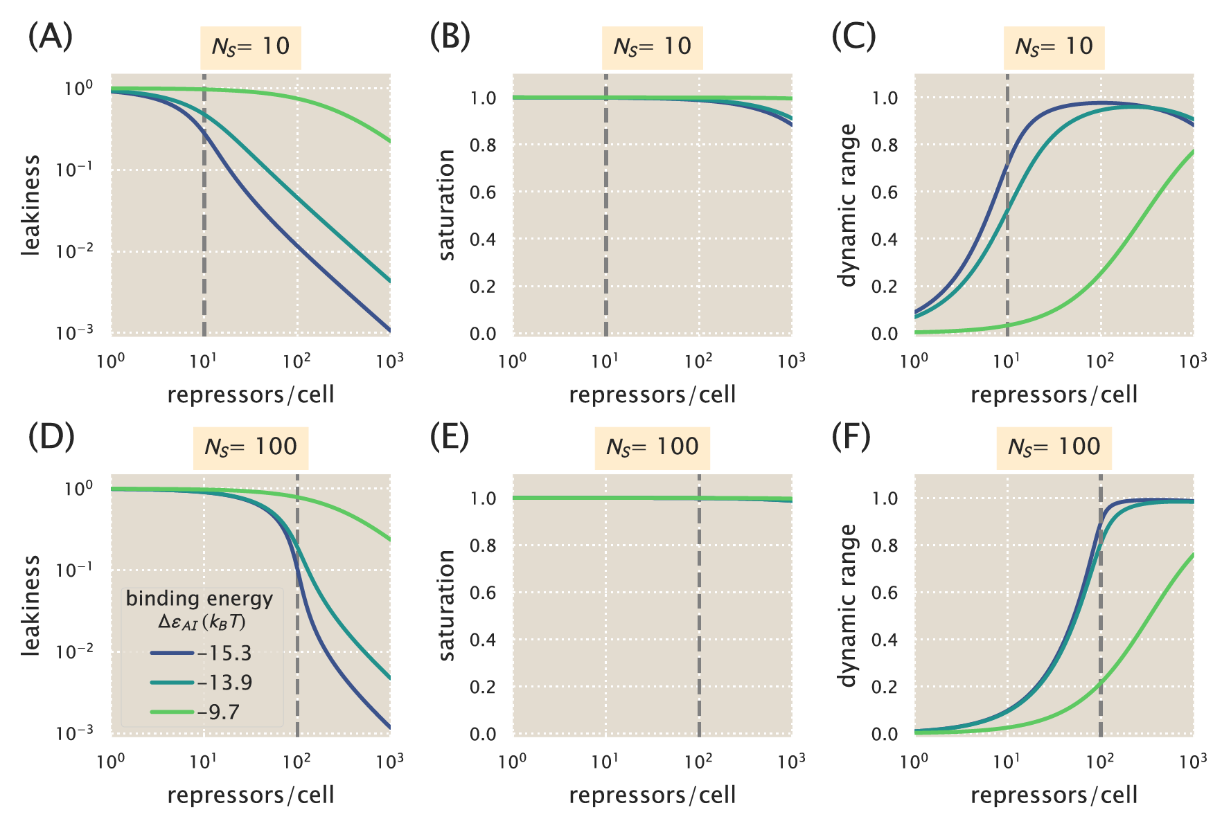 Figure 6: Phenotypic properties of induction with multiple specific binding sites. The leakiness (A, D), saturation (B, E), and dynamic range (C, F) are shown for systems with a number of specific binding sites N_S = 10 or N_S = 100 . The dashed vertical line indicates the point at which N_S = R.