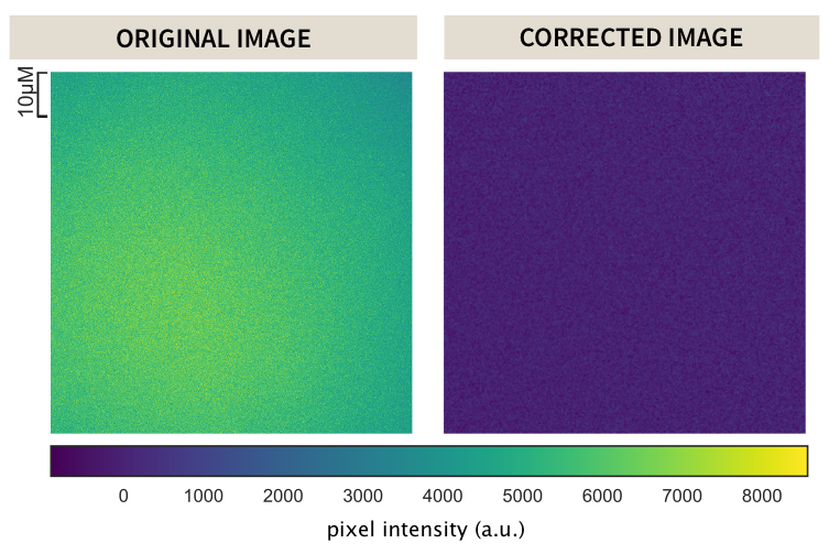 Figure 12: Correction for uneven illumination. A representative image of the illumination profile of the 512\,\text{nm} excitation beam on a homogeneously fluorescent slide is shown in the left panel. This is corrected for using Eq. \ref{eq:ch4_eq20} and is shown in the right panel.