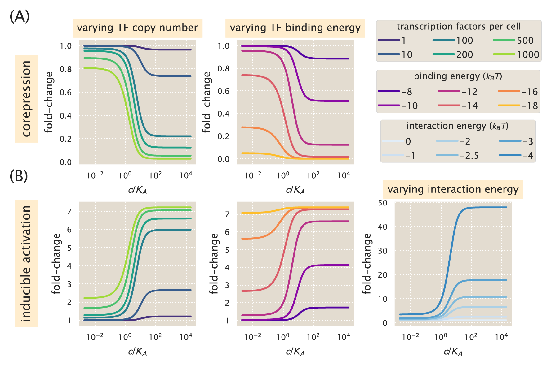 Figure 28: Representative fold-change predictions for allosteric corepression and activation. (A) Contrary to the case of induction described in Chapter 2, the addition of a corepressor decreases fold-change in gene expression. The left and right panels demonstrate how varying the values of the repressor copy number R and repressor-DNA binding energy \Delta\varepsilon_{RA}, respectively, change the predicted response profiles. (B) In the case of inducible activation, binding of an effector molecule to an activator transcription factor increases the fold-change in gene expression. Note that for activation, the fold-change is greater than 1. The left and center panels show how changing the activator copy number A and activator-DNA binding energy \Delta\varepsilon_{AA} alter the response, respectively. The right panel shows how varying the polymerase-activator interaction energy \varepsilon_{AP} alters the fold-change. Relatively small perturbations to this energetic parameter drastically change the level of activation and play a major role in dictating the dynamic range of the system.