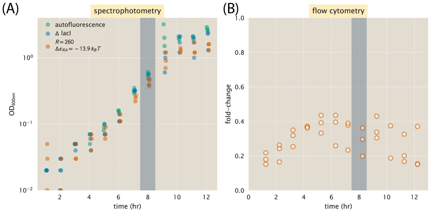 Figure 29: Time course measurement of single-cell fluorescence by flow cytometry—data set 1. Flow cytometry measurements were performed at different time points following a 1000-fold dilution of an overnight culture. Cell strains were grown in M9 minimal media supplemented with 0.5% w/v glucose and IPTG c=50\,\mu\text{M}. OD_{600nm} measurements are shown for the three strains. (B) The fold-change is calculated for each measurement shown in Panel (A). Note that each measurement represents a different culture grown in a 96-deep-well plate.