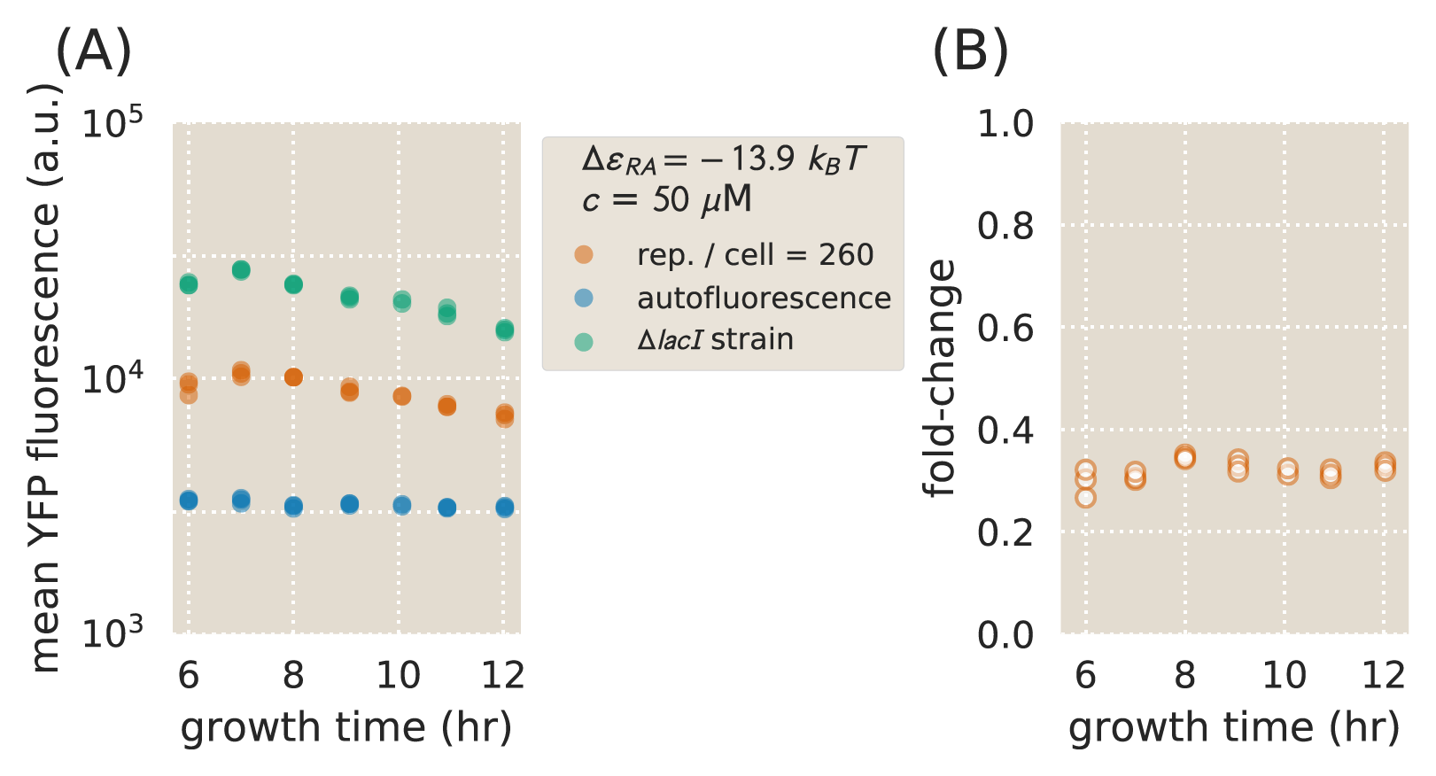 Figure 31: Time course measurement of single-cell fluorescence by flow cytometry - data set 2. Flow cytometry measurements were performed at different time points following a 1000-fold dilution of an overnight culture. Cell strains were grown in M9 minimal media supplemented with 0.5% w/v glucose and IPTG c=50\,\mu\text{M}. Mean fluorescence values are shown for strain O2 \Delta\varepsilon_{RA} = -13.9~k_BT with R=260, O2 \Delta lacI, and an autofluorescence strain. Data points represent measurements from separate 500\,\mu\text{L} cell cultures. The fold change is calculated for each measurement shown in Panel .