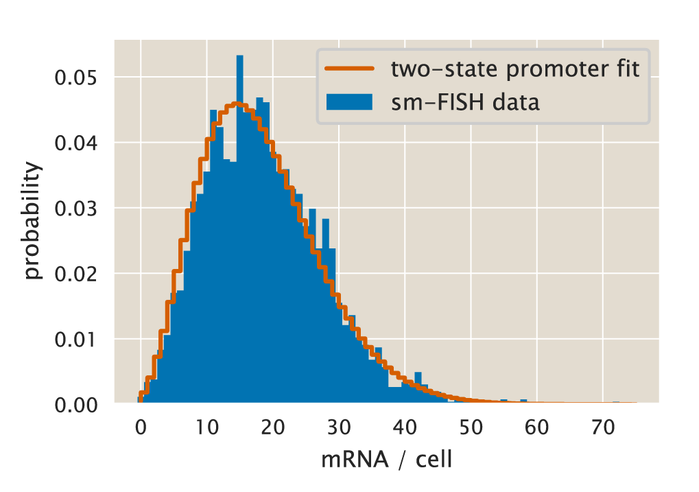 Figure 3: Experimental vs. theoretical distribution of mRNA per cell using parameters from Bayesian inference. Dotted line shows the result of using Eq. \ref{eq:two_state_mRNA} along with the parameters inferred for the rates. Blue bars are the same data as Fig. 1 obtained from  [4]. The Python code (ch5_fig03.py) used to generate this figure can be found on the original paper’s GitHub repository.