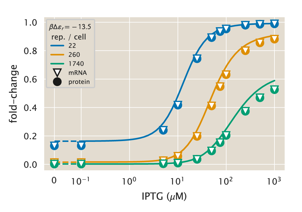 Figure 10: Comparison of the equilibrium and kinetic inducer titration predictions. The equilibrium model (solid lines) and the kinetic model with variation over the cell cycle (solid circles and white triangles) predictions are compared for varying repressor copy numbers and inducer concentrations. The equilibrium model is directly computed as Eq. 5 of reference  [7] with repressor-DNA binding energy \Delta\varepsilon_r = -13.5 \; k_BT, while the kinetic model is computed by numerically integrating the moment dynamics over several cell cycles, and then averaging over the extent of a single cell cycle as defined in Eq. \ref{seq_moment_avg} The Python code (ch5_fig10.py) used to generate this figure can be found on the original paper’s GitHub repository.