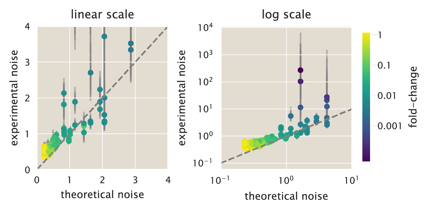 Figure 14: Systematic comparison of theoretical vs. experimental noise in gene expression. Theoretical vs. experimental noise both in linear (left) and log (right) scale. The dashed line shows the identity line of slope one and intercept zero. All data are colored by the corresponding experimental fold-changes value in gene expression, as indicated by the color bar. Each datum represents a single date measurement of the corresponding strain and IPTG concentration with \geq 300 cells. The points correspond to the median, and the error bars correspond to the 95% confidence interval as determined by 10,000 bootstrap samples. The Python code (ch5_fig14.py) used to generate this figure can be found on the original paper’s GitHub repository.