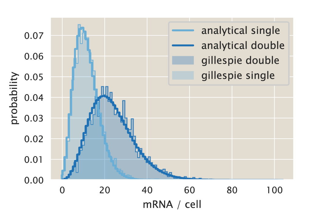 Figure 21: Comparison of analytical and simulated mRNA distribution. Solid lines show the steady-state mRNA distributions for one copy (light blue) and two copies of the promoter (dark blue) as defined by Eq. \ref{eq:two_state_mRNA}. Shaded regions represent the corresponding distribution obtained using 2500 stochastic mRNA trajectories and taking the last cell cycle to approximate the distribution. The Python code (ch5_fig21.py) used to generate this figure can be found on the original paper’s GitHub repository.