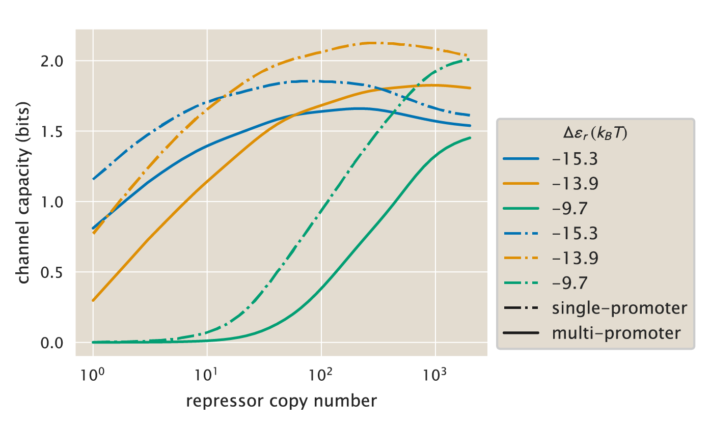 Figure 28: Comparison of channel capacity predictions for single- and multi-promoter models. Channel capacity for the multi-promoter model (solid lines) vs. the single-promoter steady-state model (dot-dashed lines) as a function of repressor copy numbers for different repressor-DNA binding energies. The single-promoter model assumes Poissonian protein degradation (\gamma _p > 0) and steady-state, while the multi-promoter model accounts for gene copy number variability during the cell cycle and has protein degradation as an effect due to dilution as cells grow and divide. The Python code (ch5_fig28.py) used to generate this figure can be found on the original paper’s GitHub repository.