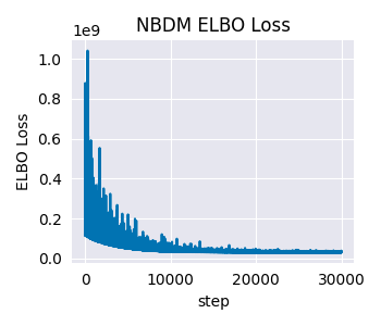 NBDM ELBO Loss
