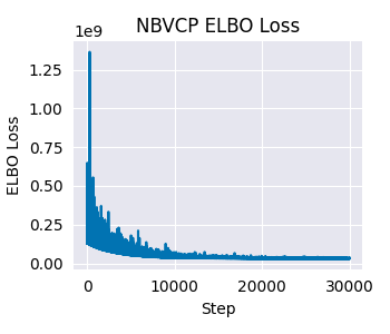 NBVCP ELBO Loss
